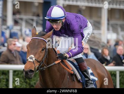 Am 23. März 2024 gewann er den William Hill Lincoln in Doncaster für Dominic French Davis und David Egan Stockfoto