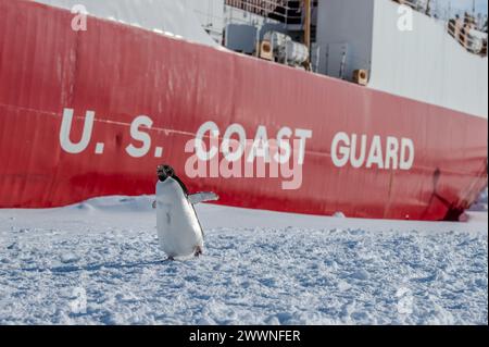 Ein Adélie-Pinguin wird neben dem Cutter Polar Star der US-Küstenwache (WAGB 10) während er neben dem Ross-Schelfeis in der Antarktis am 3. Februar 2024 watschelt. Jedes Jahr arbeitet ein gemeinsames Team an der erfolgreichen Operation Deep Freeze zusammen. Aktive Mitglieder der US-Luftwaffe, der US-Armee, der Küstenwache und der Navy arbeiten zusammen, um eine starke Joint Task Force-Support Forces Antarctica zu gründen, die die Tradition der US-Militärunterstützung für das US-Antarctic-Programm fortsetzt. Küstenwache Stockfoto