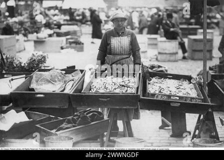 Marktplatz 1930. Hötorget im Zentrum Stockholms mit einer Frau an einem Marktstand mit frischem Fisch, den sie in Kisten vor sich verkauft. Stockfoto