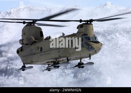 Ein Hubschrauber der Alaska Army National Guard CH-47F Chinook nähert sich einer Landezone an, während er eine Schleuderlast auf dem Bryant Army Airfield, Joint Base Elmendorf-Richardson, 28. Februar 2024 durchführt. Soldaten der US-Armee des Alaska Army National Guard Aviation Battalion führten das mit Schleudern beladene Training durch, um ihre Einsatzfähigkeit in Alaskas rauer Umgebung zu verbessern. (Alaska Nationalgarde Stockfoto