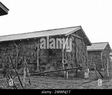 Staatliche landwirtschaftliche Genossenschaft im kommunistischen Rumänien in den 1970er Jahren Große Ställe zur Lagerung von Heu. Stockfoto