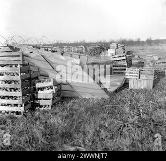 Staatliche landwirtschaftliche Genossenschaft im kommunistischen Rumänien in den 1970er Jahren Geerntete Erzeugnisse und verschiedene Gegenstände, die auf dem Gelände liegen. Stockfoto