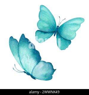 Aquarellillustration von zarten türkisfarbenen Schmetterlingen. Handgefertigt, isoliert Stockfoto
