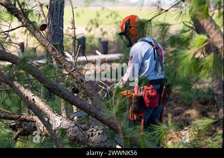 Team Rubicon, das von Veteranen geleitet wurde, arbeitete mit den Mississippi National Guard Civil Engineers zusammen, um vegetative Trümmer zu entfernen und Routen im Rahmen einer simulierten Katastrophenreaktion während der PATRIOT 24, Camp McCain Training Center, Grenada, Mississippi, 20. Februar 2024 zu beseitigen. PATRIOT ist eine Übung zur Katastrophenbewältigung im Inland, die von Einheiten der Nationalgarde durchgeführt wird, die mit nationalen, staatlichen und lokalen Notfallmanagementbehörden und Ersthelfern zusammenarbeiten. Air National Guard Stockfoto