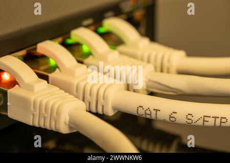 Nahaufnahme des Netzwerk-Switches mit mehreren LEDs und eingesteckten Netzwerkkabeln. Kategorie des Netzwerkkabels lesbar. Hintergrund unscharf. Stockfoto