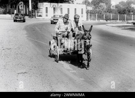 Kreis Constanța, Rumänien, 1990. Männer, die auf einem Esel fahren. Gezogener Wagen auf der Straße. Stockfoto