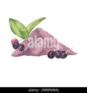 Trockene Maqui-Beerenpulver-Zusammensetzung mit Blättern und frischen Beeren. Handgezeichnete Aquarellillustration einer chilenischen Weinbeerpflanze isoliert auf weißem Rücken Stockfoto