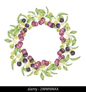 Kranzrahmen mit leeren Space Maqui Beeren. Handgezeichnete Aquarellillustration der chilenischen Weinbeerpflanze isoliert auf weißem Hintergrund. Aristotelia c Stockfoto
