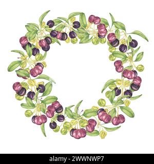 Kranzrahmen mit Maqui-Beeren. Handgezeichnete Aquarellillustration der chilenischen Weinbeerpflanze isoliert auf weißem Hintergrund. Aristotelia chilensis des Stockfoto