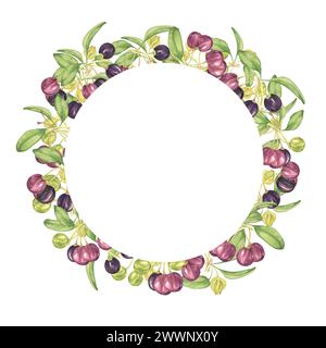 Kranzrahmen mit leeren Space Maqui Beeren. Handgezeichnete Aquarellillustration der chilenischen Weinbeerpflanze isoliert auf weißem Hintergrund. Aristotelia c Stockfoto