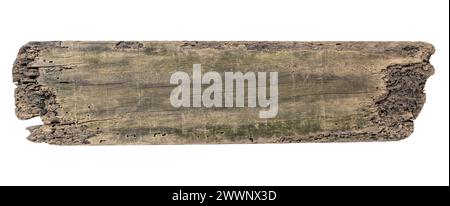 Seeschwalben Holzplanke isoliert auf weißem Hintergrund. Vorlagenmodell Stockfoto