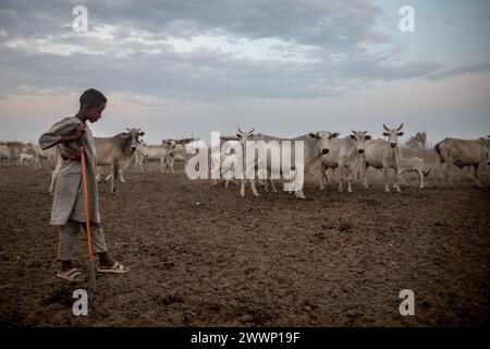 Südsudan. März 2024. Ein Großteil der Südsudans Bevölkerung ist stark von Rindern abhängig, aber der Wettbewerb um Ressourcen kann zu Konflikten führen, und der Klimawandel hat Weideland gefährdet. Rund 1.000 südsudanesische Rückkehrer und sudanesische Flüchtlinge überqueren täglich die Grenze vom Sudan in den Südsudan. Der Krieg im Sudan, der im April 2023 begann, hat zur größten Vertreibungskrise der Welt geführt. Quelle: SOPA Images Limited/Alamy Live News Stockfoto