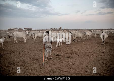 Südsudan. März 2024. Ein Großteil der Südsudans Bevölkerung ist stark von Rindern abhängig, aber der Wettbewerb um Ressourcen kann zu Konflikten führen, und der Klimawandel hat Weideland gefährdet. Rund 1.000 südsudanesische Rückkehrer und sudanesische Flüchtlinge überqueren täglich die Grenze vom Sudan in den Südsudan. Der Krieg im Sudan, der im April 2023 begann, hat zur größten Vertreibungskrise der Welt geführt. Quelle: SOPA Images Limited/Alamy Live News Stockfoto