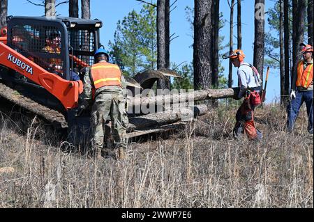 Team Rubicon, das von Veteranen geleitet wurde, arbeitete mit den Mississippi National Guard Civil Engineers zusammen, um vegetative Trümmer zu entfernen und Routen im Rahmen einer simulierten Katastrophenreaktion während der PATRIOT 24, Camp McCain Training Center, Grenada, Mississippi, 20. Februar 2024 zu beseitigen. PATRIOT ist eine Übung zur Katastrophenbewältigung im Inland, die von Einheiten der Nationalgarde durchgeführt wird, die mit nationalen, staatlichen und lokalen Notfallmanagementbehörden und Ersthelfern zusammenarbeiten. Air National Guard Stockfoto