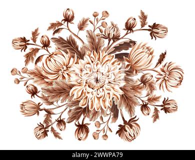 Chrysanthemenblüten mit Knospen und Blättern in Aquarellfarbe. Vintage monochrome Komposition, isoliert auf weißem Hintergrund. Handgezeichnete Illustration braun Stockfoto