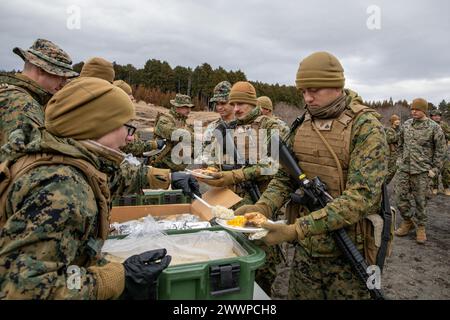 U.S. Marines mit Combat Logistics Regiment 3, 3rd Marine Logistics Group, erhalten Nahrung während der Übung Winter Workhorse 24 im Combined Arms Training Center Camp Fuji, Japan, 2. Februar 2024. Winter Workhorse ist eine regelmäßig geplante Trainingsübung, die dazu dient, die Kampffähigkeiten in umkämpften Umgebungen zu verbessern. Marine Corps Stockfoto