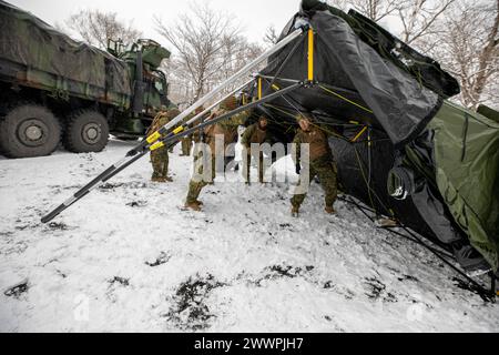 U.S. Marines mit Combat Logistics Regiment 3, 3rd Marine Logistics Group, errichteten ein Zelt während der Übung Winter Workhorse 24 auf dem Combined Arms Training Center Camp Fuji, Japan, 4. Februar 2024. Winter Workhorse ist eine regelmäßig geplante Trainingsübung, die dazu dient, die Kampffähigkeiten in umkämpften Umgebungen zu verbessern. Marine Corps Stockfoto