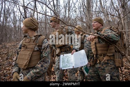 U.S. Marines mit dem 9. Engineer Support Battalion, 3rd Marine Logistics Group, navigieren durch die Wälder, während sie an einem Kurs zur Landnavigation während des Warrior Shield 24 in der U.S. Army Garrison Casey, Südkorea, am 28. Februar 2024 teilnehmen. Warrior Shield 24 ist eine jährliche gemeinsame Übung in Südkorea, die die kombinierten Verteidigungsfähigkeiten der ROK-US-Streitkräfte stärkt. Diese routinemäßige, regelmäßig geplante Übung vor Ort bietet die ROK-U.S. Marines haben die Möglichkeit, kombinierte Operationen zu Proben, Wissen auszutauschen und die Stärke und Fähigkeiten der ROK-U.S. zu demonstrieren Alli Stockfoto