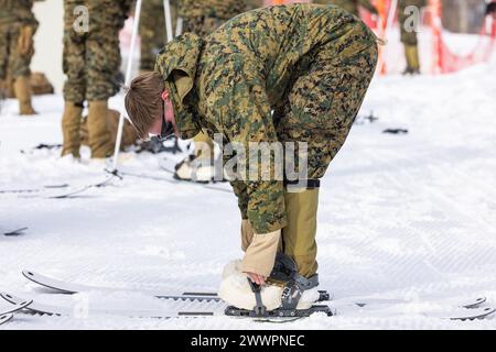 Ein US-Marine setzt seine Ski während der Korea Viper 24,1 in Pyeongchang, Republik Korea, am 16. Februar 2024. Das Training vermittelt Marines verschiedene Skitechniken, Bergbewegungen und Überlebensfähigkeiten in einer strengen Umgebung bei kaltem Wetter. Korea Viper demonstriert in seiner ersten Version die Fähigkeit des ROK-US Marine Corps, in der Region als einzigartige, vereinte Kraft entschieden zu reagieren und gleichzeitig die Beziehungen und das Vertrauen zwischen den beiden Verbündeten zu stärken. Die Marines sind beim 2. Bataillon, 7. Marines. 2/7 wird im Indo-Pazifik unter dem 4. Marine Regiment, 3. Marine Division als Teil eingesetzt Stockfoto