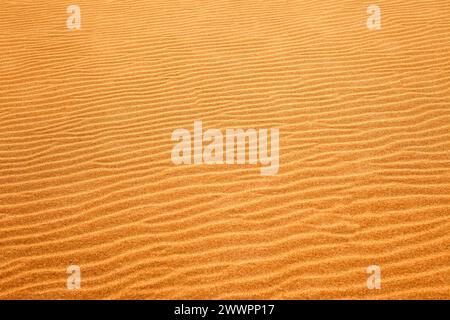 Wellen im Sand in einer Wüste in Südafrika nützlich als Hintergrund für ein feindseliges, trockenes und karges Gelände. Stockfoto