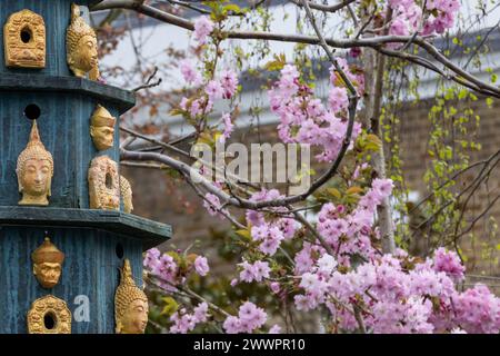 Windsor, Großbritannien. März 2024. Die rosa Blüte ist neben einem Nistkasten mit buddhistischen Figuren abgebildet. Quelle: Mark Kerrison/Alamy Live Ne Stockfoto