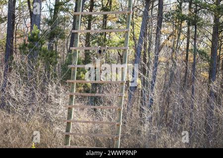 Sgt. Shannon Phann vom 30. Truppenkommando der Tennessee Army National Guardsman stürmt während des Tennessee State Best Warrior Competition in Tullahoma am 24. Februar 2024 den Confidence Climb-Teil eines Luftangriffs auf. Der Selbstvertrauen-Aufstieg wird verwendet, um deine mentalen Fähigkeiten zu testen und die Höhenangst des Soldaten zu überwinden. Armee-Nationalgarde Stockfoto