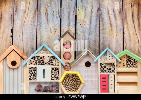 Farbenfrohe neue Vogelhäuser und Insektenhotels vor einer Holzwand Stockfoto