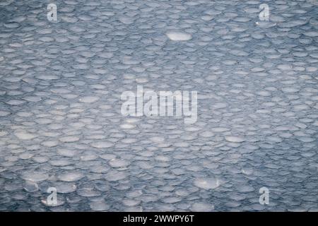 Antarktis, Victoria Land, Rossmeer im Ross-Schelfeisgebiet. Pfannkucheneisformationen auf dem Rossmeer, als es zu frieren beginnt. Stockfoto