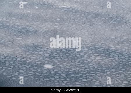 Antarktis, Victoria Land, Rossmeer im Ross-Schelfeisgebiet. Pfannkucheneisformationen auf dem Rossmeer, als es zu frieren beginnt. Stockfoto