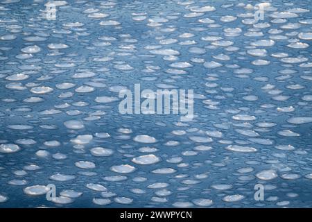 Antarktis, Victoria Land, Rossmeer im Ross-Schelfeisgebiet. Pfannkucheneisformationen auf dem Rossmeer, als es zu frieren beginnt. Stockfoto