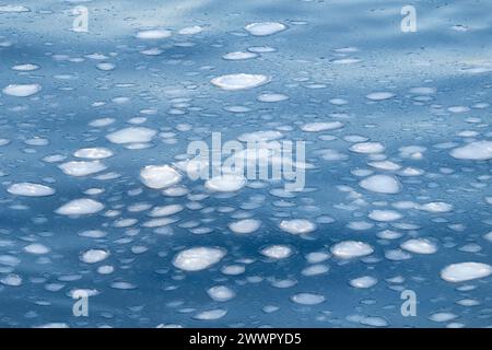 Antarktis, Victoria Land, Rossmeer im Ross-Schelfeisgebiet. Pfannkucheneisformationen auf dem Rossmeer, als es zu frieren beginnt. Stockfoto