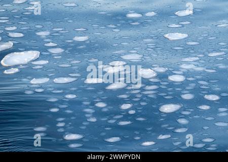 Antarktis, Victoria Land, Rossmeer im Ross-Schelfeisgebiet. Pfannkucheneisformationen auf dem Rossmeer, als es zu frieren beginnt. Stockfoto