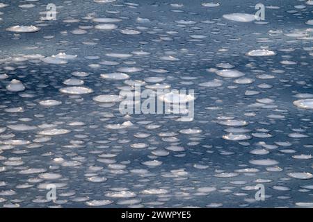 Antarktis, Victoria Land, Rossmeer im Ross-Schelfeisgebiet. Pfannkucheneisformationen auf dem Rossmeer, als es zu frieren beginnt. Stockfoto