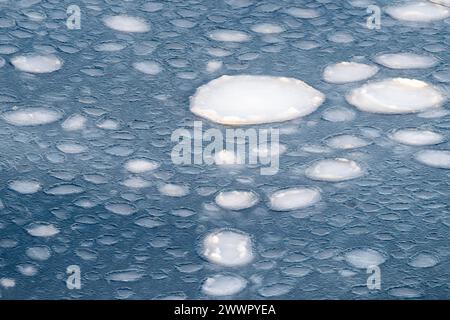 Antarktis, Victoria Land, Rossmeer im Ross-Schelfeisgebiet. Pfannkucheneisformationen auf dem Rossmeer, als es zu frieren beginnt. Stockfoto