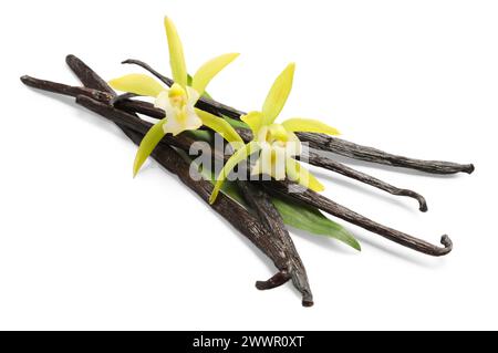 Vanilleschoten, schöne Blumen und grünes Blatt isoliert auf weiß Stockfoto