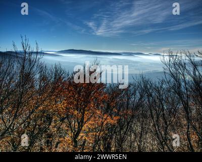 Herbstlandschaft im Böhmischen Wald (Tschechische Republik) Stockfoto