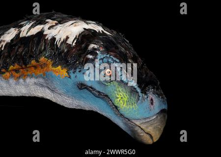 Modell von Therizinosaurus cheloniformis. Sie lebte in Asien während der späten Kreidezeit, vor etwa 70 Millionen Jahren. Stockfoto