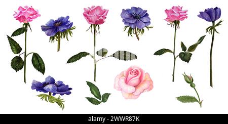 Aquarellblumen-Illustration. Aquarellrosen und Anemonen auf weißem Hintergrund. Rosa Blumen und Anemonen Blumenstrauß. Staubige Rosen, weiche hellblaue Anemonen - Borte, Kranz, Rahmen. Perfekte Hochzeit Schreibwaren, Grüße, Mode, Hintergrund. Stockfoto