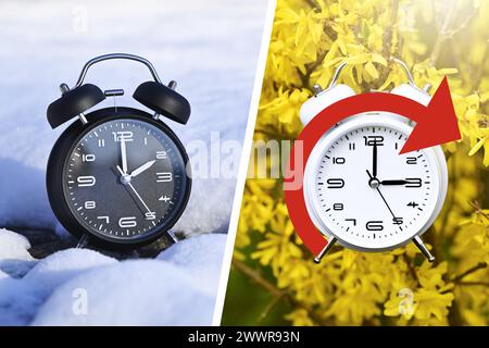 Schwarzer Wecker im Schnee-weiß-Wecker an Einem blühenden Sträucher, symbolisches Foto Sommerzeit und Zeitumstellung, Fotomontage Stockfoto