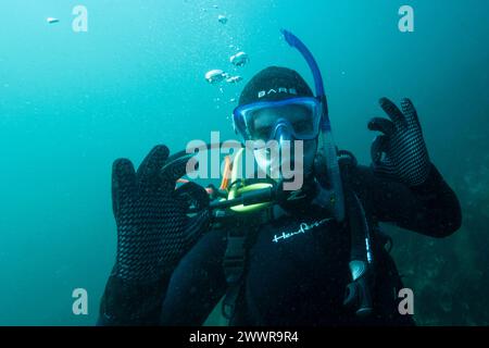 Taucher im Meer in Sooke Bay, Vancouver Island, British Columbia, Kanada Stockfoto