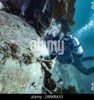 Taucher im Meer in Sooke Bay, Vancouver Island, British Columbia, Kanada Stockfoto