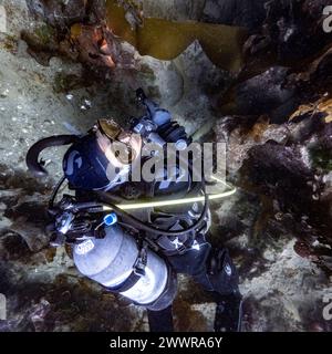 Taucher im Meer in Sooke Bay, Vancouver Island, British Columbia, Kanada Stockfoto