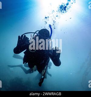 Tauchen Sie unter Wasser in der Sooke Bay, Vancouver Island, British Columbia, Kanada Stockfoto