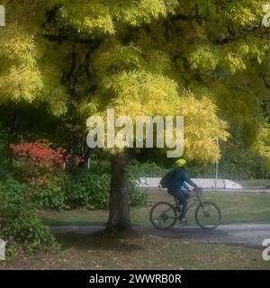 Frau, die auf einem Radweg im Stanley Park, Vancouver, British Columbia, Kanada fährt Stockfoto