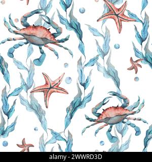 Unterwasserwelt Clipart mit Meerestieren Wal, Schildkröte, Kraken, Seestern, Seesternen, Muscheln, Korallen und Algen. Handgezeichnete Aquarellillustration Stockfoto
