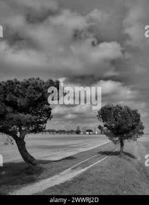 Landschaft in der Gegend zwischen Lido di Dante und dem Fluss Fiumi Uniti. Schwarzweißbilder mit starkem Kontrast, der Wolken hervorhebt Stockfoto