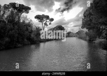 Landschaft in der Gegend zwischen Lido di Dante und dem Fluss Fiumi Uniti. Schwarzweißbilder mit starkem Kontrast, der Wolken hervorhebt Stockfoto