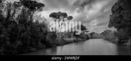 Landschaft in der Gegend zwischen Lido di Dante und dem Fluss Fiumi Uniti. Schwarzweißbilder mit starkem Kontrast, der Wolken hervorhebt Stockfoto