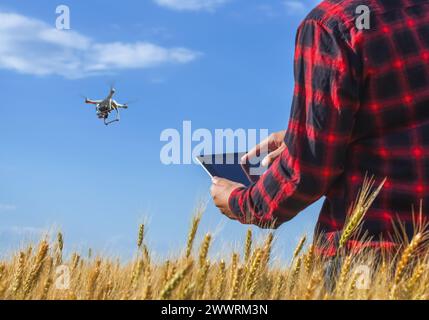 Geschäftsmann ist auf einem Feld mit reifem Weizen, hält einen Tablet-Computer und steuert den Quadcopter. Der Begriff des landwirtschaftlichen Betriebs. Stockfoto
