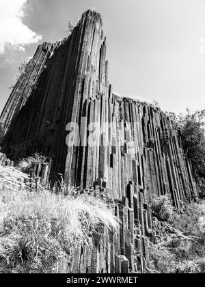 Basaltorgelpfeifen von Panska skala bei Kamenicky Senov, Tschechische Republik. Schwarzweiß-Bild. Stockfoto